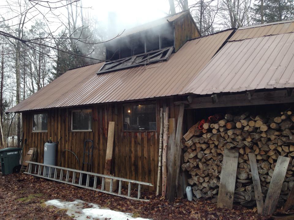 March is maple month in New England! A small wooden sugarhouse sees steam billowing from the rooftop vent and a pile of stacked, cut wood on the side, waiting to be fed to the fire that allows the evaporator to boil the tree sap down in to maple syrup. March Maple Month.